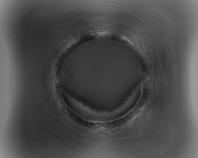 X0000094940913200712061228