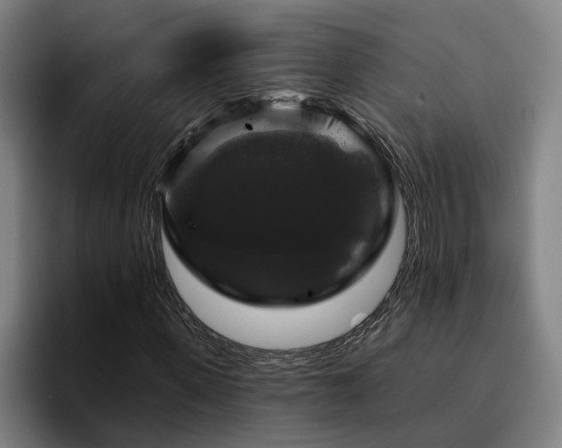 X0000094940915200712061228