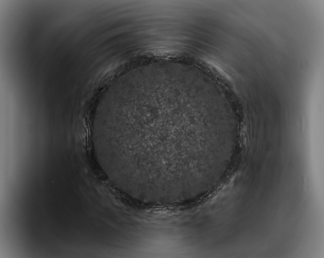 X0000094940917200712061228