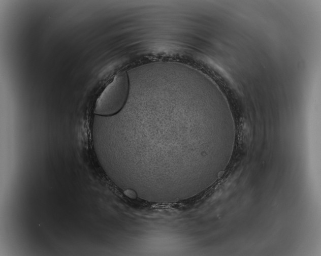 X0000094940918200712061228