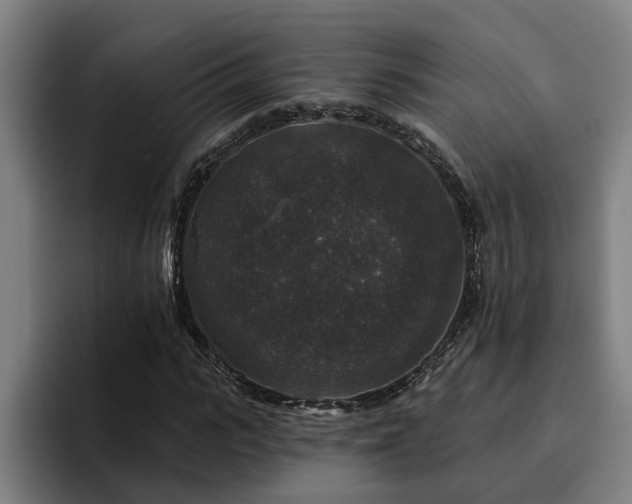 X0000094940919200712061228