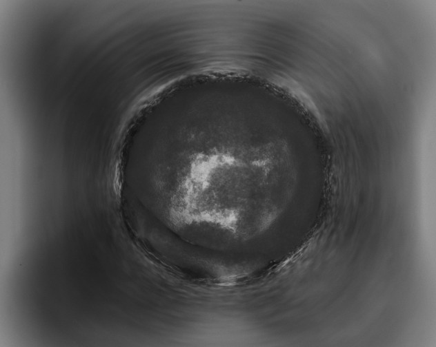 X0000094940920200712061228