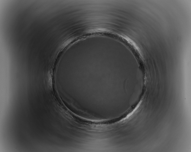 X0000094940921200712061228