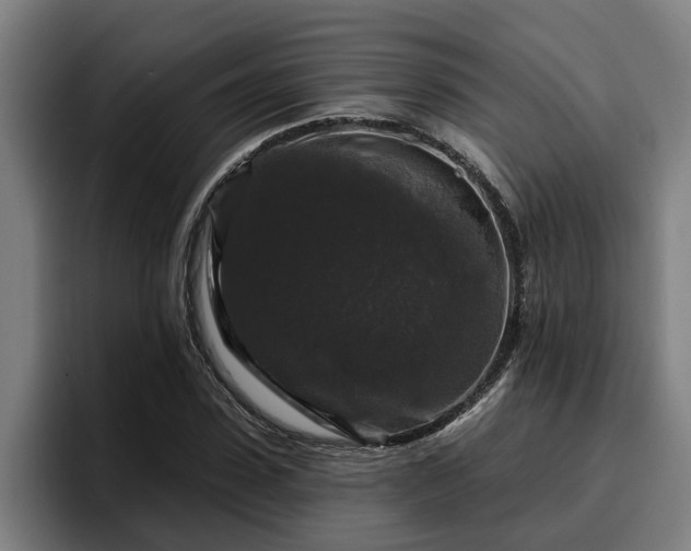 X0000094940923200712061228