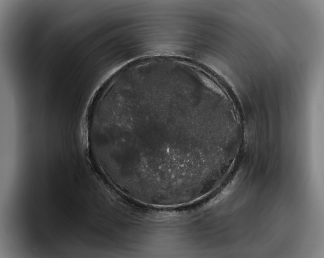 X0000094940925200712061228