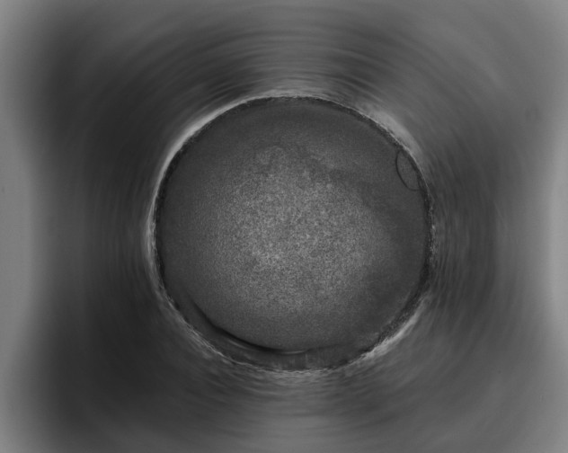 X0000094940928200712061228