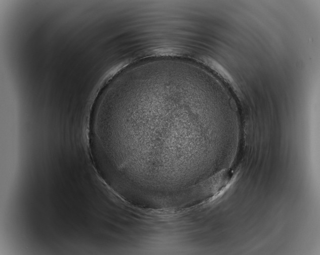 X0000094940930200712061228