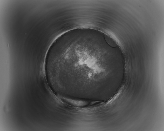 X0000094940932200712061228