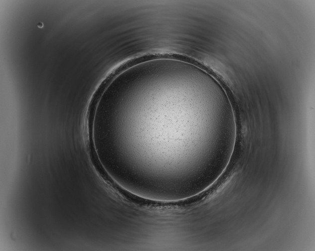 X0000094940934200712061228