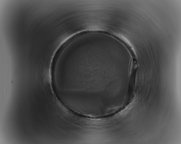 X0000094940935200712061228