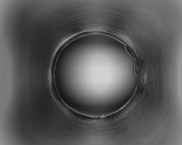 X0000094940936200712061228