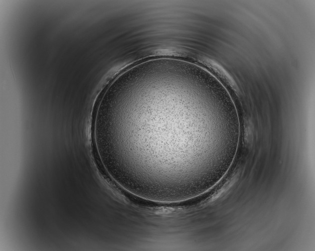 X0000094940938200712061228