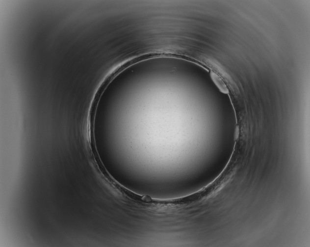 X0000094940940200712061228