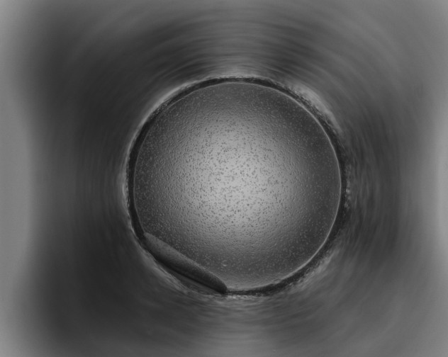 X0000094940942200712061228