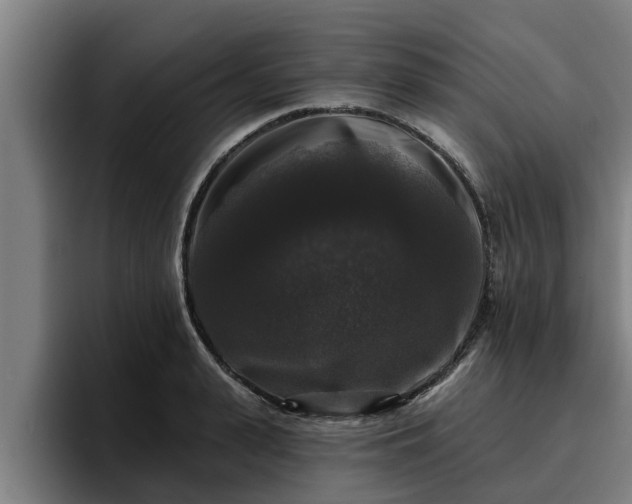 X0000094940943200712061228