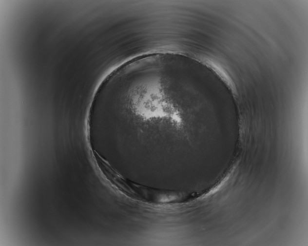 X0000094940944200712061228