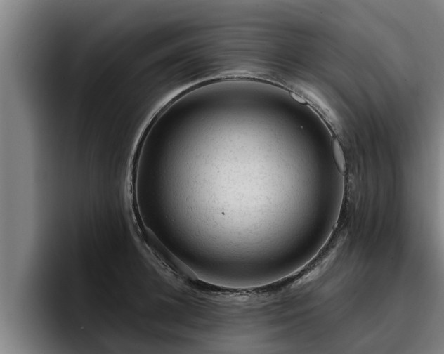 X0000094940948200712061228