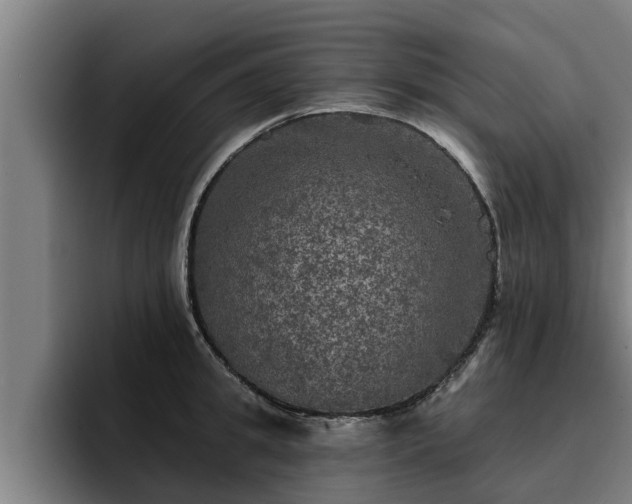 X0000094940949200712061228