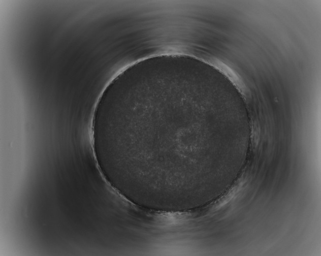 X0000094940950200712061228