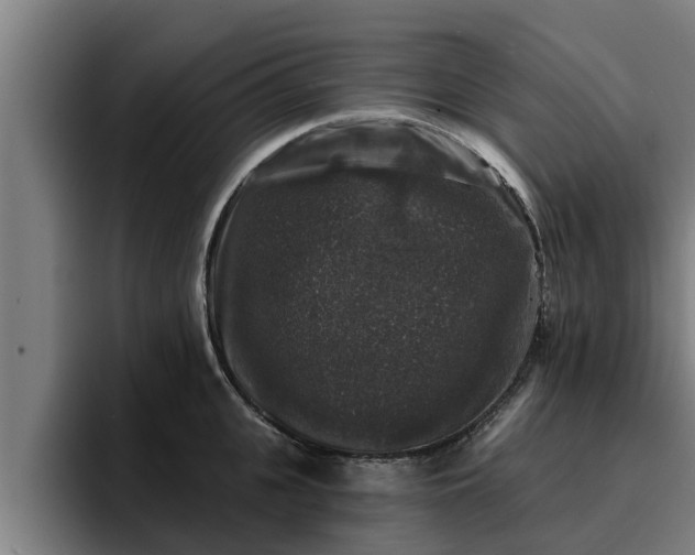 X0000094940951200712061228