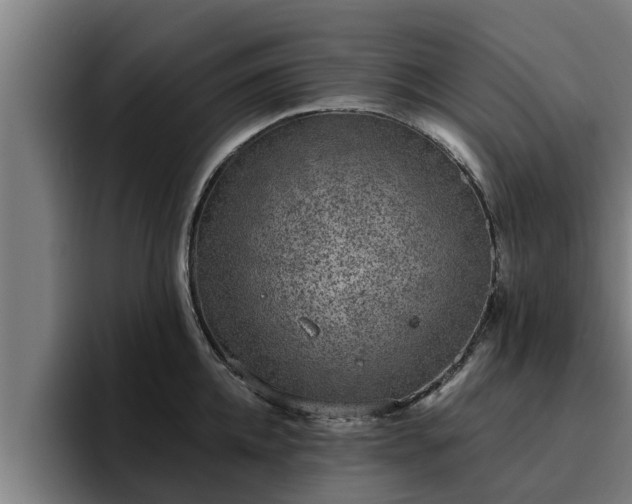 X0000094940952200712061228