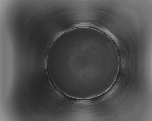 X0000094940953200712061228