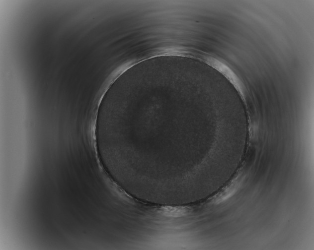 X0000094940954200712061228