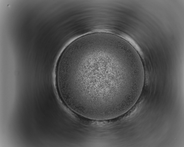 X0000094940955200712061228