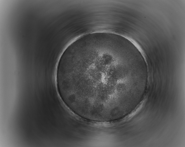 X0000094940957200712061228