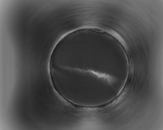 X0000094940958200712061228