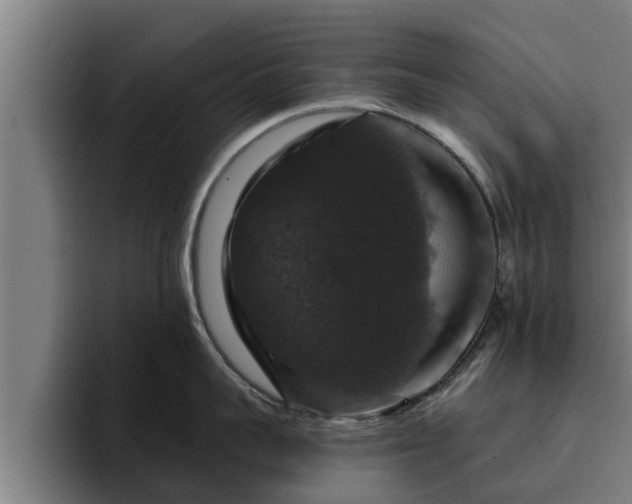 X0000094940959200712061228