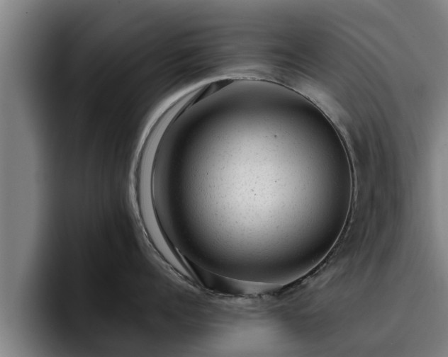 X0000094940960200712061228