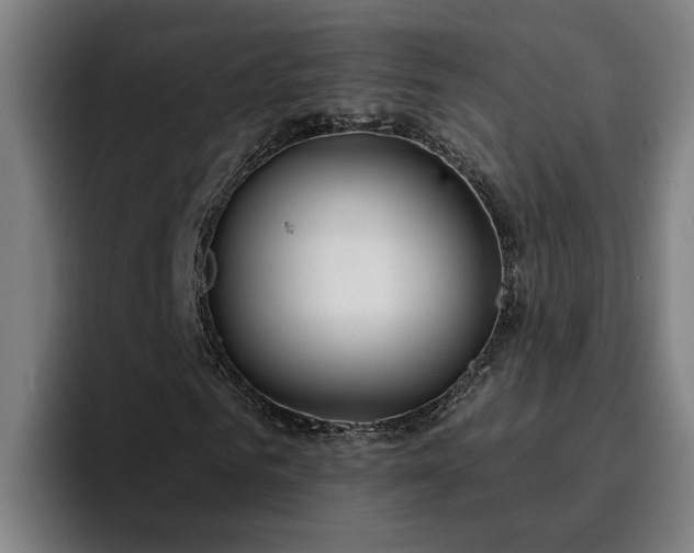 X0000094940961200712061228