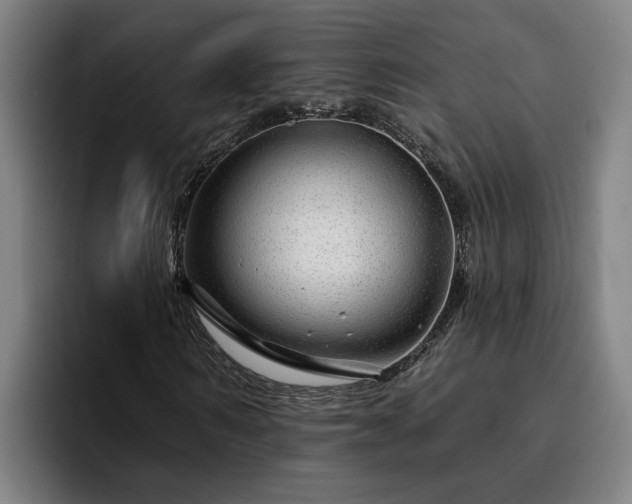 X0000094940962200712061228