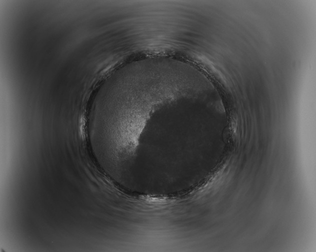 X0000094940964200712061228