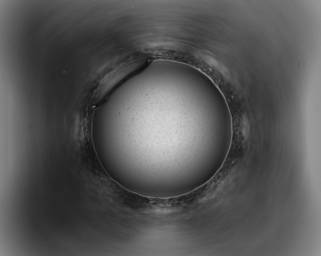 X0000094940965200712061228