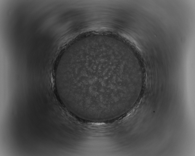 X0000094940966200712061228