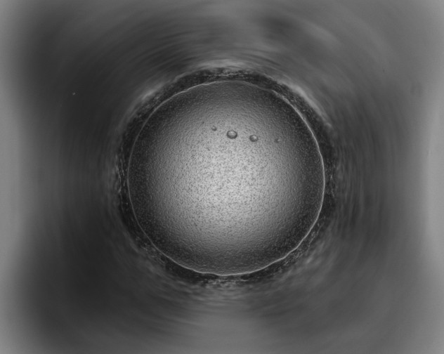 X0000094940967200712061228