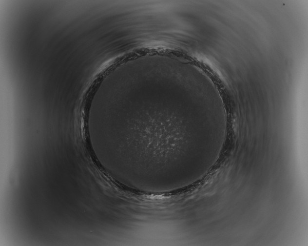 X0000094940968200712061228