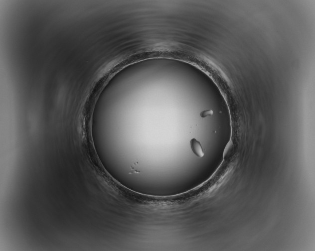 X0000094940970200712061228