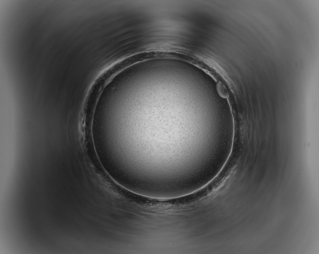 X0000094940971200712061228