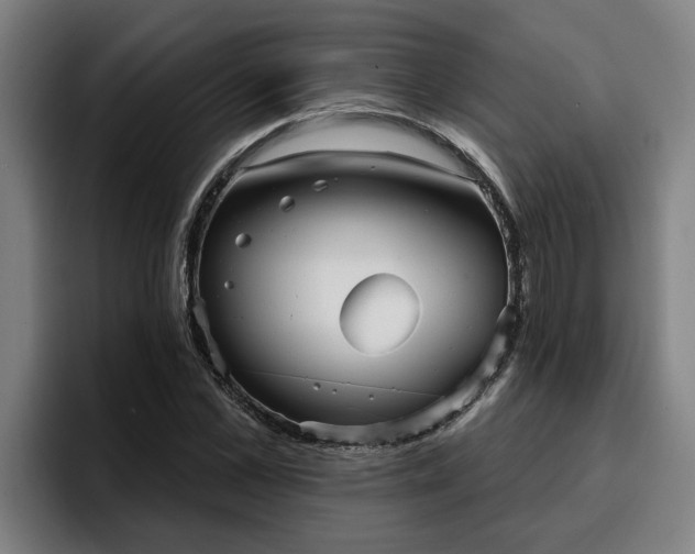 X0000094940973200712061228