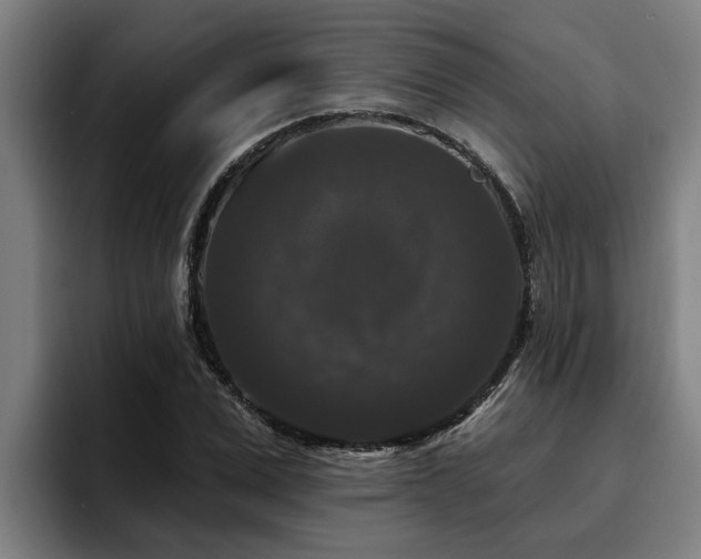 X0000094940975200712061228