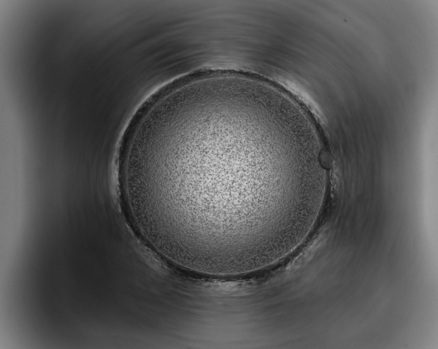 X0000094940976200712061228