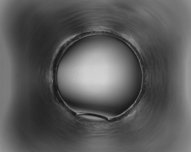 X0000094940979200712061228