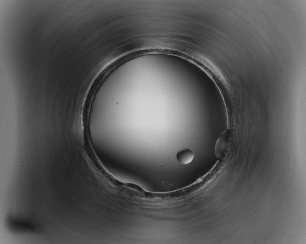 X0000094940980200712061228