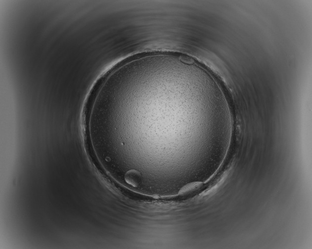 X0000094940981200712061228