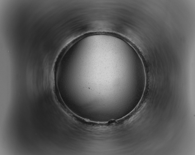 X0000094940982200712061228