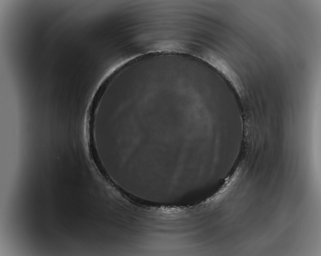 X0000094940983200712061228