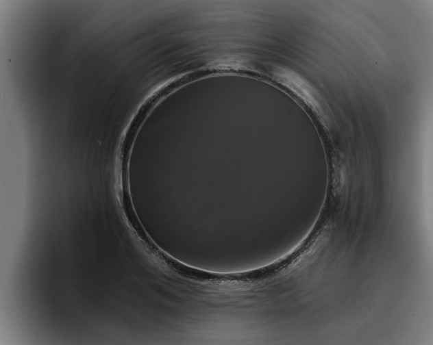 X0000094940984200712061228